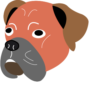 MyBoxer